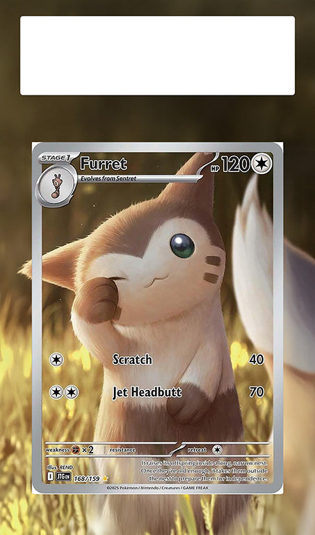 Furret Journey Together Extended Art