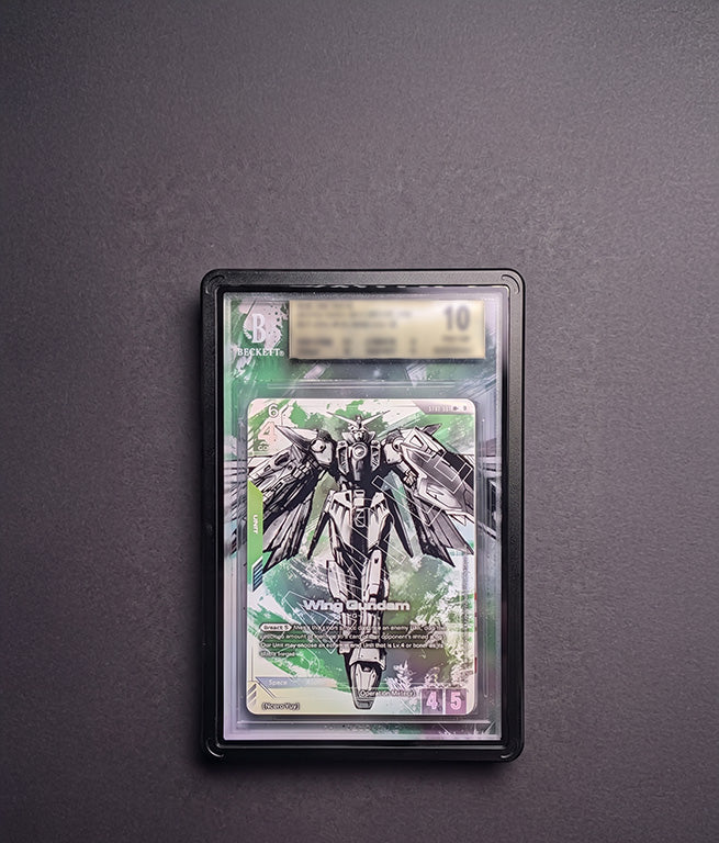 Wing Gundam LR+ Edition Beta Extended Art
