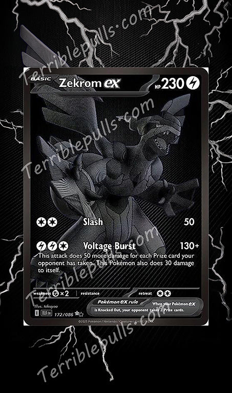 Zekrom EX 172 Extended Art