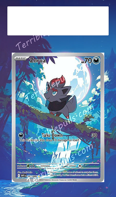 Zorua 142 Extended Art
